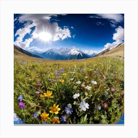 Himalaya Meadow Canvas Print