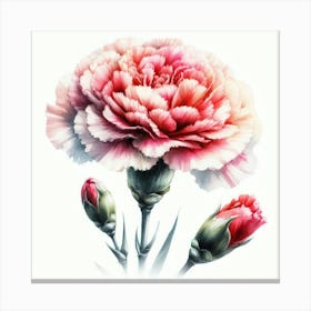 Carnation Flower 2 Canvas Print