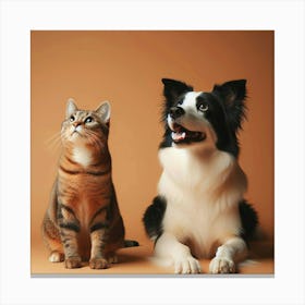 A ginger cat and a Border Collie dog sit side by side, looking up at something off-camera with rapt attention. Canvas Print