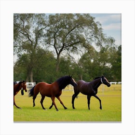 Horses Galloping In A Field Photo Canvas Print