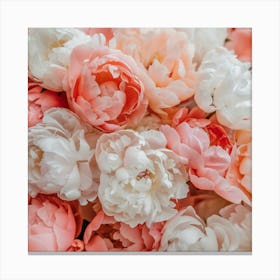 Peach And Pink Peonies Canvas Print