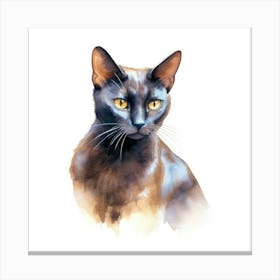 Bombay Chocolate Cat Portrait Canvas Print