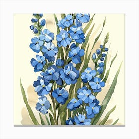 Blue Forget-Me-Nots Canvas Print