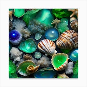 Sea Shells Canvas Print