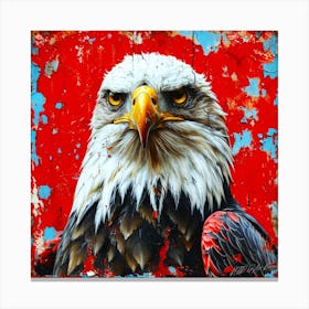 Eagle In USA - Bald Eagle Canvas Print