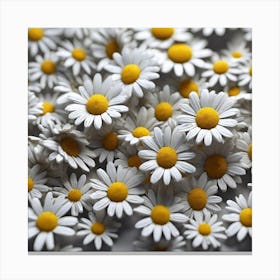 Daisy 6 Canvas Print