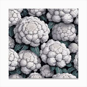 Cauliflowers Canvas Print