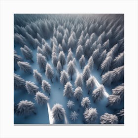 Aerial View Of Snowy Forest 4 Canvas Print