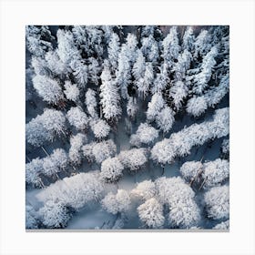 Aerial View Of Snow Covered Forest 2 Canvas Print