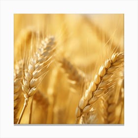 Golden Wheat Canvas Print