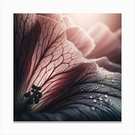 Close Up Of A Flower Canvas Print