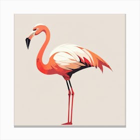 Flamingo 3 Canvas Print