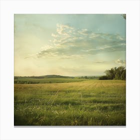 Field Of Grass Canvas Print