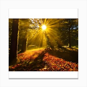 Autumn Sunrays Canvas Print