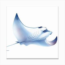 Manta ray 2 Canvas Print