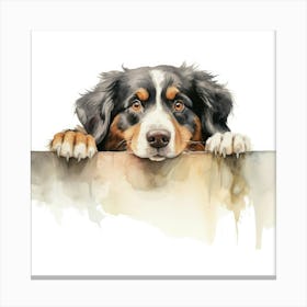 Bernese Mountain Dog 4 Canvas Print