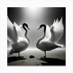 Two Swans 1 Canvas Print