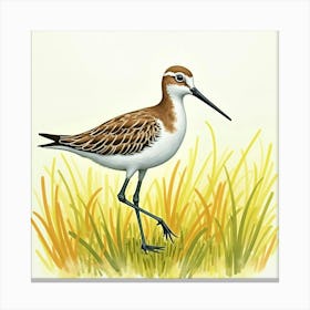 Sandhill Crane 4 Canvas Print