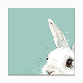 Rabbit Illustration Canvas Print