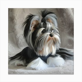 Parti Yorkshire Terrier 2 Canvas Print