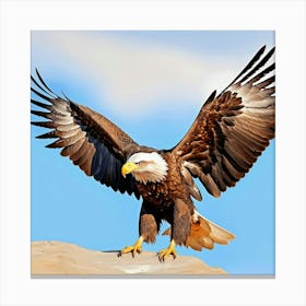 Bald Eagle Canvas Print