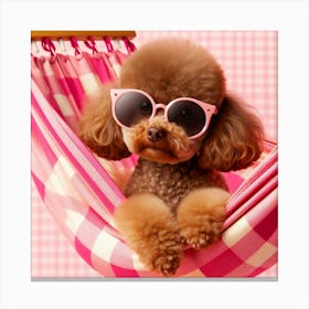 Poodle In A Hammock Canvas Print