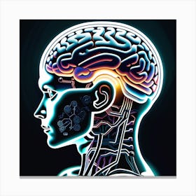 Human Brain Illustration Canvas Print