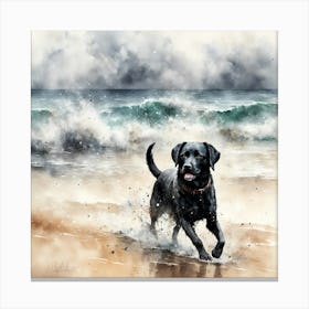 a dog named s, Canvas Print