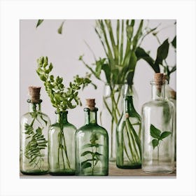 Glass Bottles With Plants Canvas Print