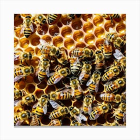 Bees On A Honeycomb 1 Canvas Print
