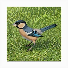 Tit on branch 17 Canvas Print