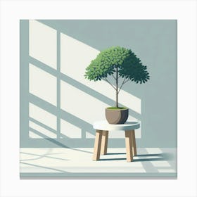 Bonsai Tree Canvas Print