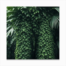 Ferns In The Jungle Canvas Print