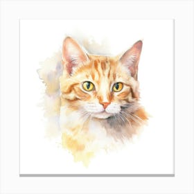 Kashmir Cat Portrait 3 Canvas Print