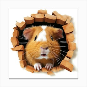 Guinea Pig 11 Canvas Print