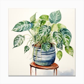 Philodendron 1 Canvas Print