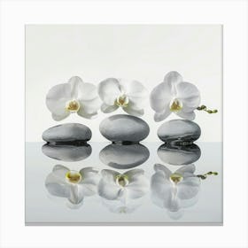 Three Orchids On Rocks Canvas Print