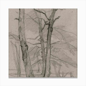 Two Trees In The Woods Canvas Print