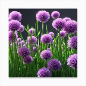 Chrysanthemums 1 Canvas Print