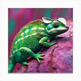 Chamelon 1 Canvas Print