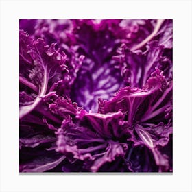 Purple Cabbage 3 Canvas Print