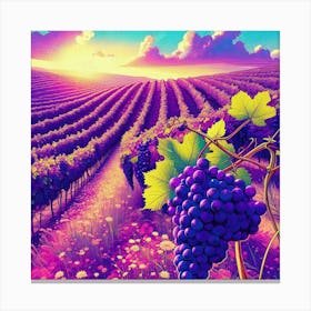 Vineyard At Sunset 7 Canvas Print