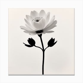 Minimalist Flower Canvas Print