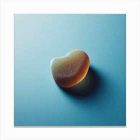 Heart Shaped Seashell Canvas Print