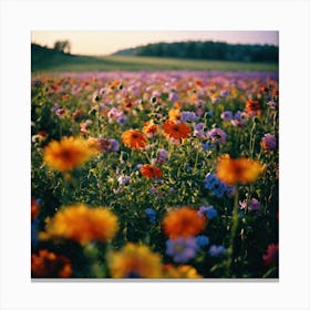 Field Of Flowers 1 Canvas Print