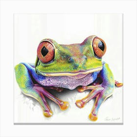 Colorful Tree Frog Canvas Print