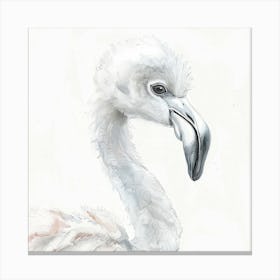 Flamingo 1 Canvas Print