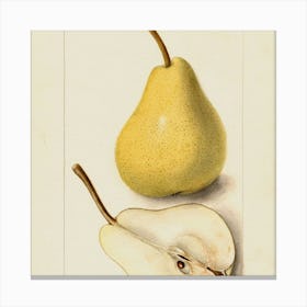 Fruit 4 Canvas Print