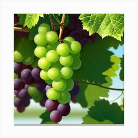 Grapes On The Vine 50 Canvas Print