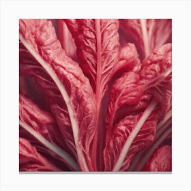 Close Up Of Red Cabbage Canvas Print